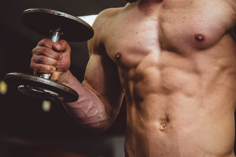 muscle